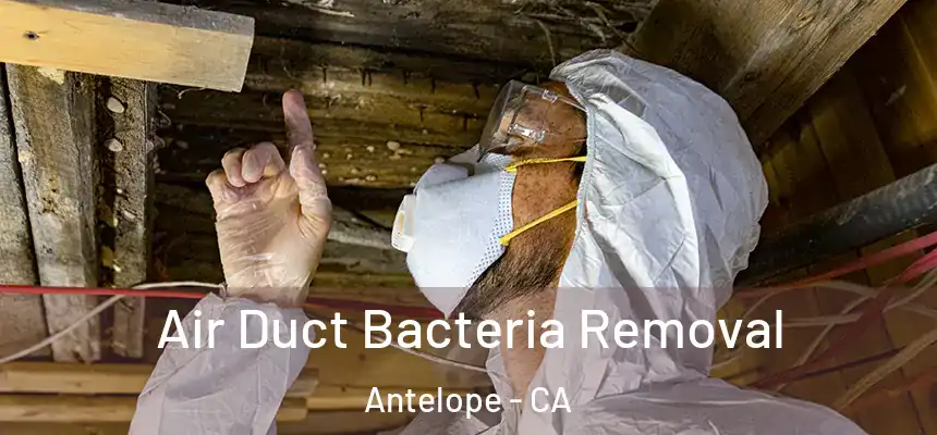 Air Duct Bacteria Removal Antelope - CA