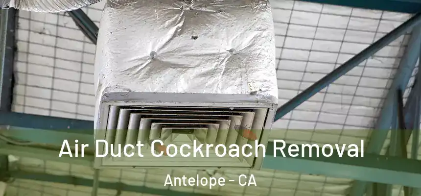 Air Duct Cockroach Removal Antelope - CA