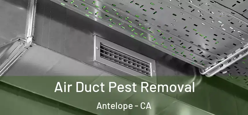 Air Duct Pest Removal Antelope - CA