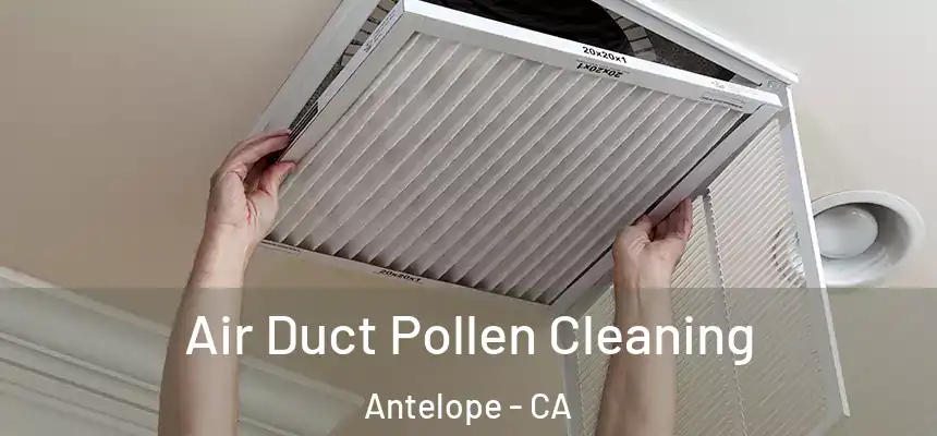 Air Duct Pollen Cleaning Antelope - CA
