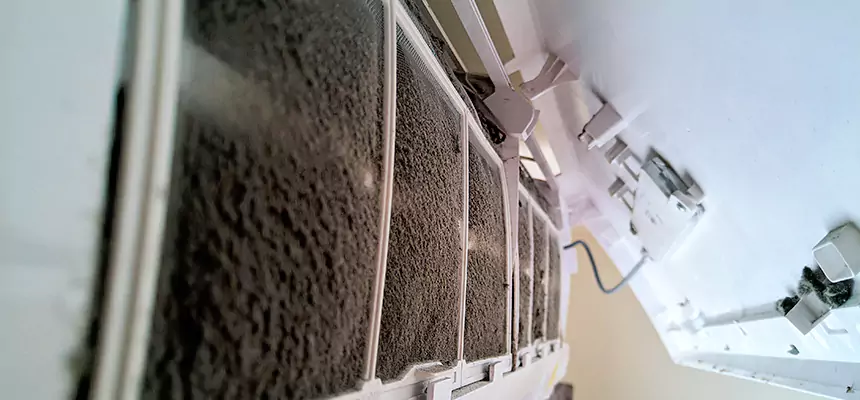 Preventive Air Duct Bacteria Removal in Antelope