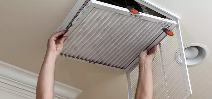 Preventive Cockroach-Proofing for Ducts in Antelope