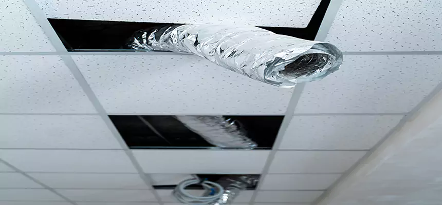 Affordable HVAC Sanitizing After Pest Removal in Antelope