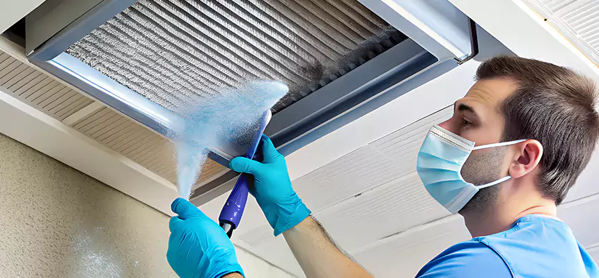 Proactive Dryer Vent & Auxiliary Duct Pollen Cleanup in Antelope, CA