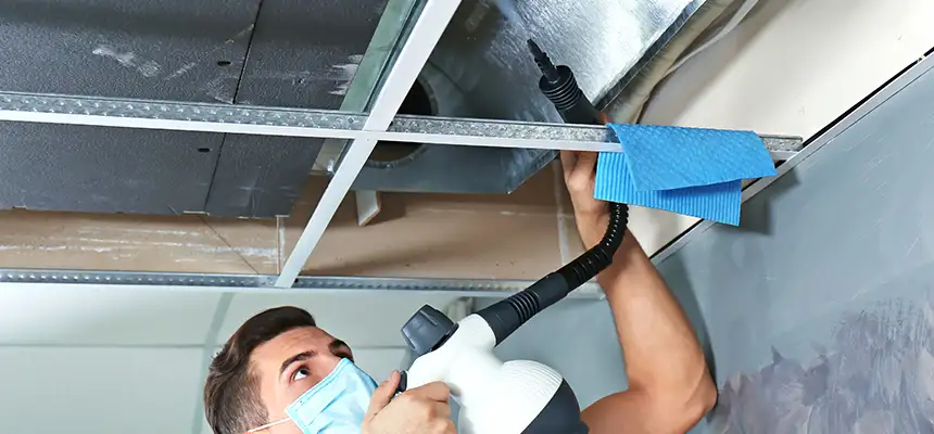 Our Air Duct Rodent Removal Services in Antelope, CA
