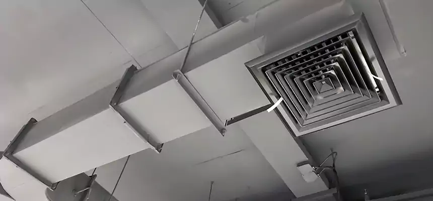 Restorative Allergy Relief Vent Cleaning – Coil, Blower & Housing Detail in Antelope