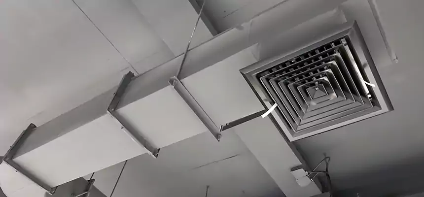 Our Pest Removal From Ducts Services in Antelope, CA