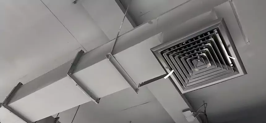 Our Rodent Droppings In Vents Services in Antelope, CA