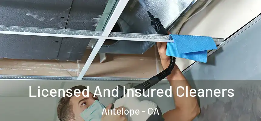 Licensed And Insured Cleaners Antelope - CA