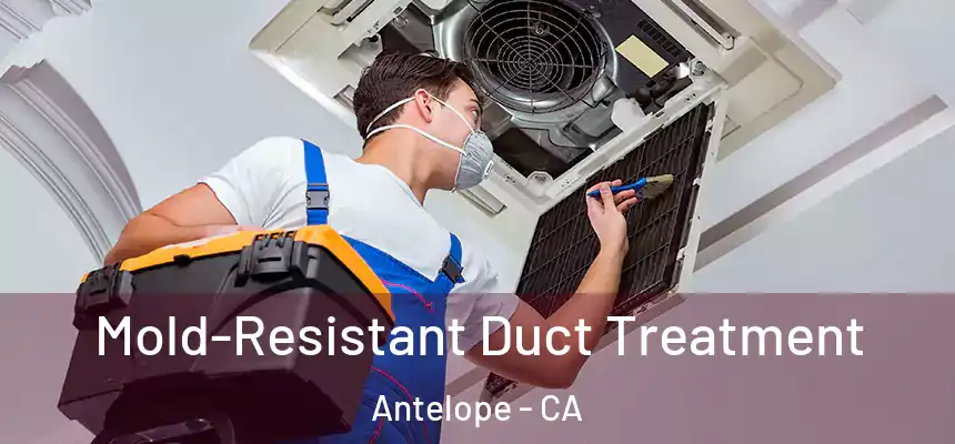  Mold-Resistant Duct Treatment Antelope - CA