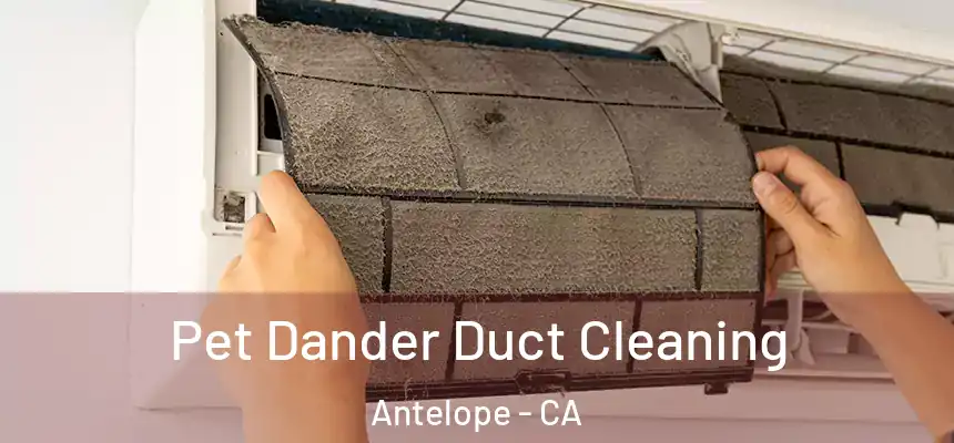  Pet Dander Duct Cleaning Antelope - CA