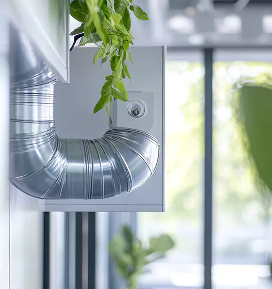 Professional Eco-Friendly Duct Cleaning Services in Antelope, CA