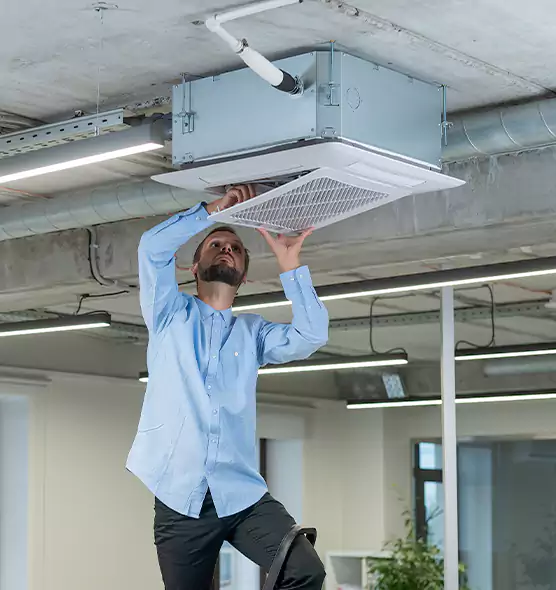 Advanced Rodent Droppings In Vents in Antelope, CA