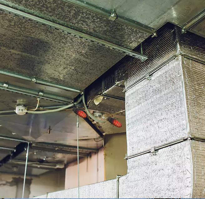 Why Homeowners & Businesses Trust Us in Antelope, CA?