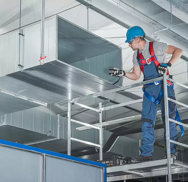 Why Homeowners & Businesses Trust Us in Antelope, CA?