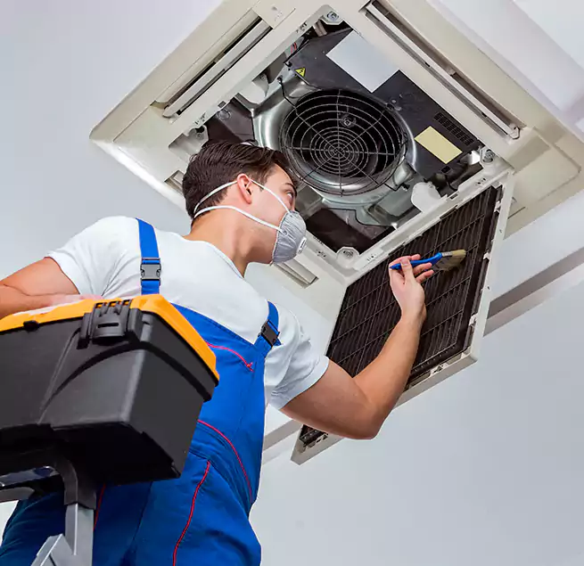 Why Homeowners & Businesses Trust Us in Antelope, CA?