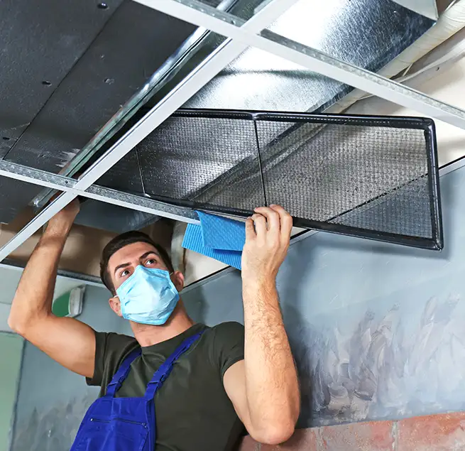 Why Homeowners & Businesses Trust Us in Antelope, CA?