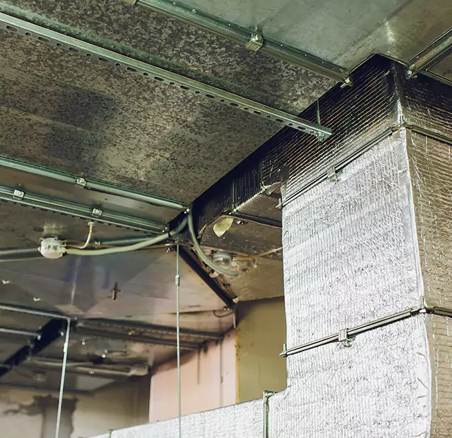 Why Homeowners & Businesses Trust Us in Antelope, CA?